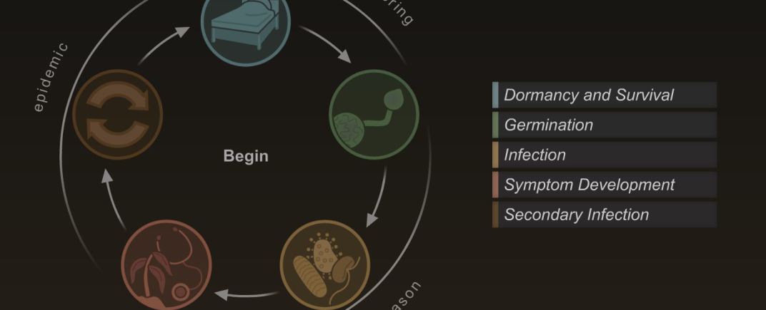 disease cycle home page
